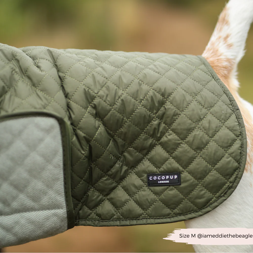 Quilted Dog Coat - Country Khaki - Image 13