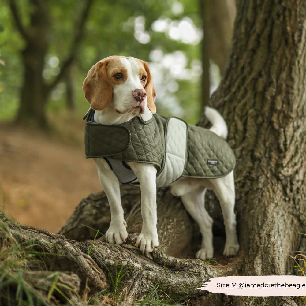 Quilted Dog Coat - Country Khaki - Image 16