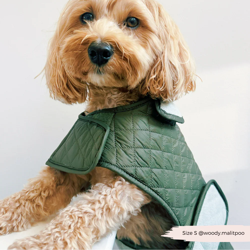 Quilted Dog Coat - Country Khaki - Image 19