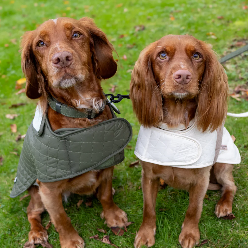 Quilted Dog Coat - Country Khaki - Image 25