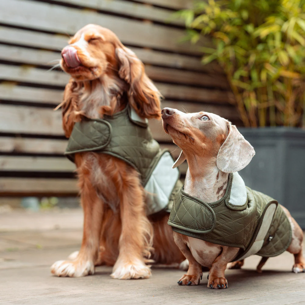 Quilted Dog Coat - Country Khaki - Image 7