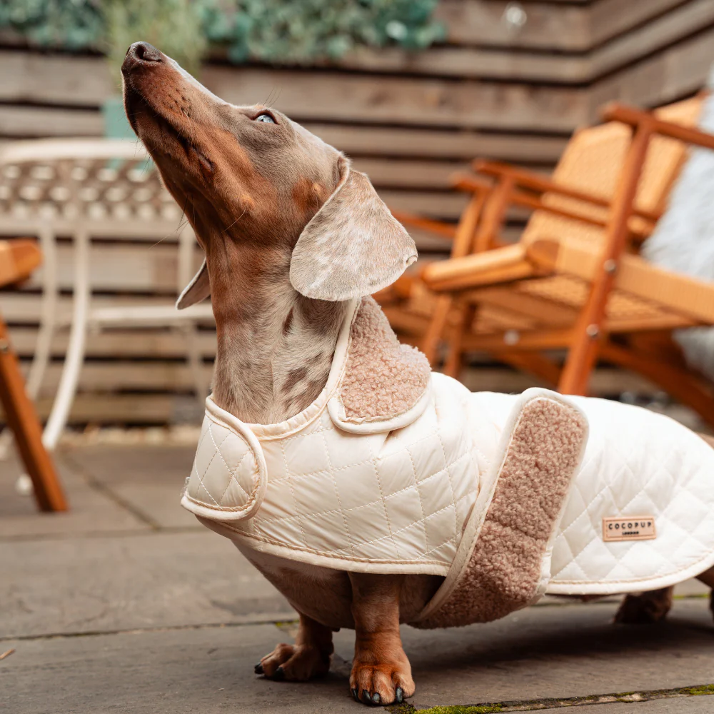 Quilted Dog Coat - Creamy Chai - Image 10