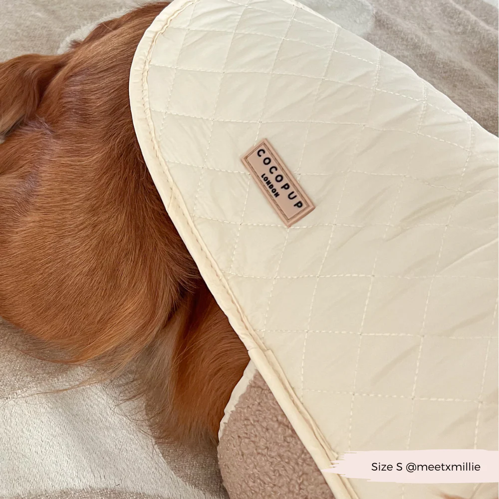Quilted Dog Coat - Creamy Chai - Image 18