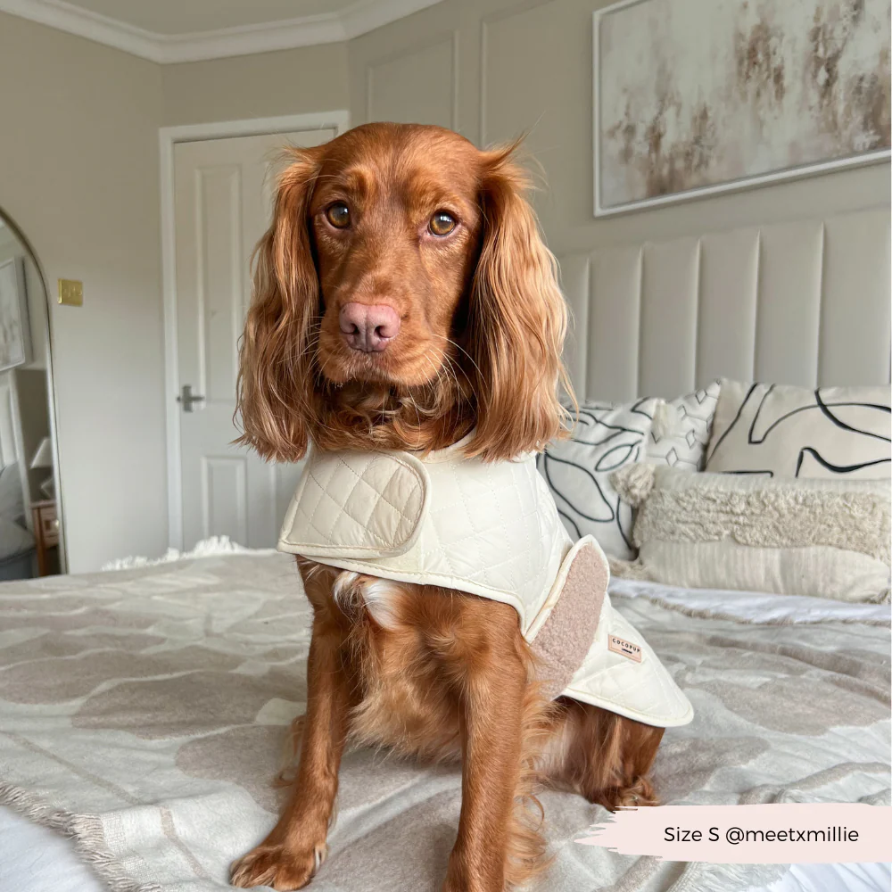 Quilted Dog Coat - Creamy Chai - Image 20