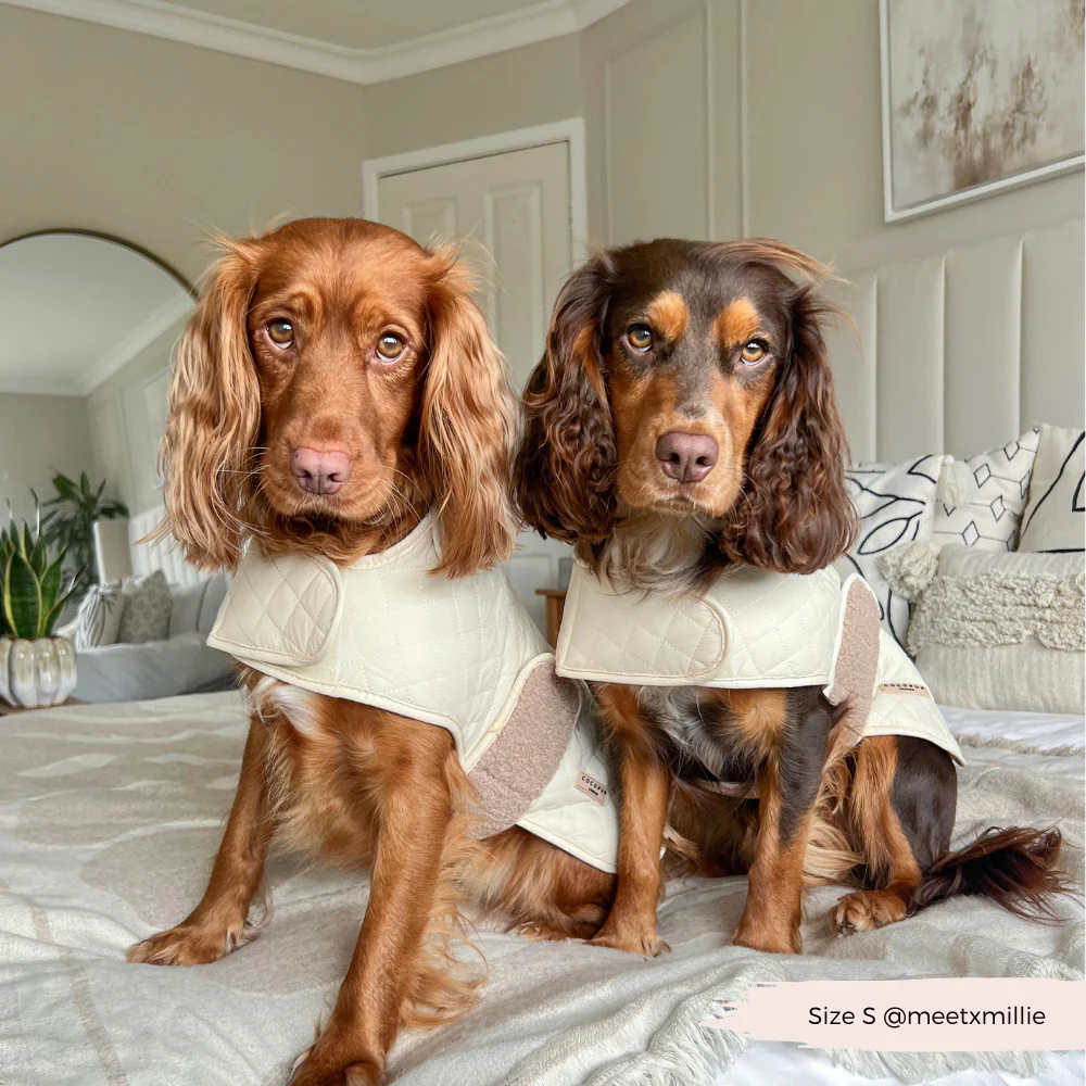 Quilted Dog Coat - Creamy Chai - Image 21
