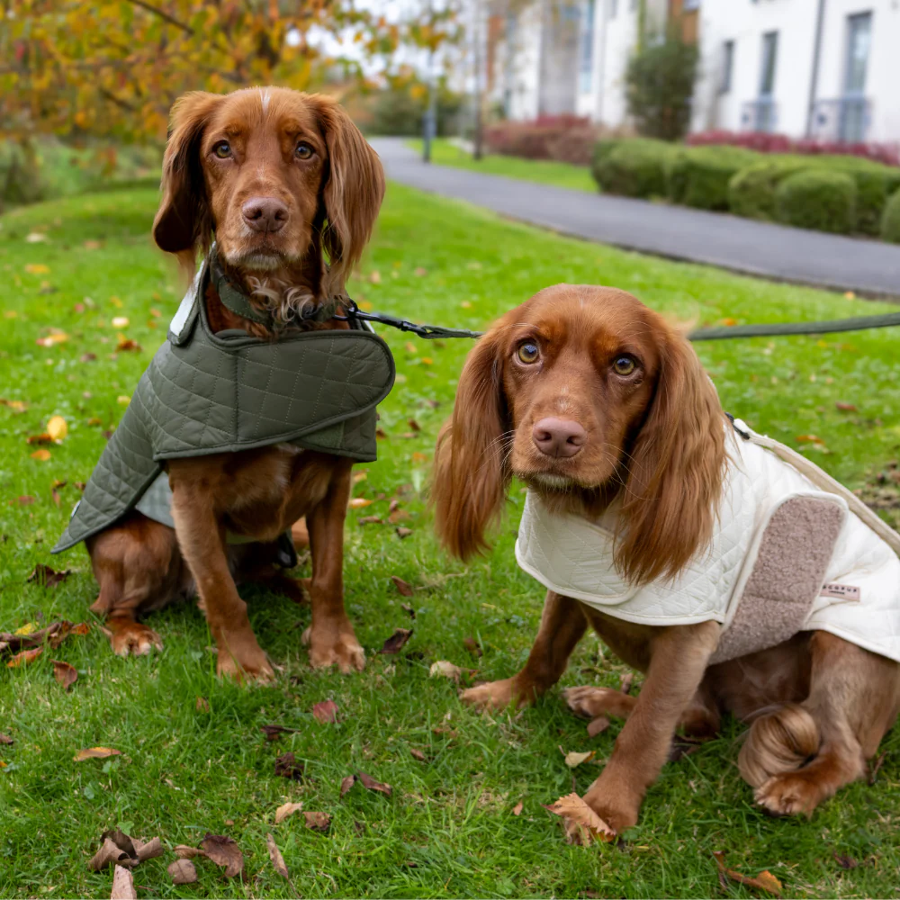 Quilted Dog Coat - Creamy Chai - Image 29