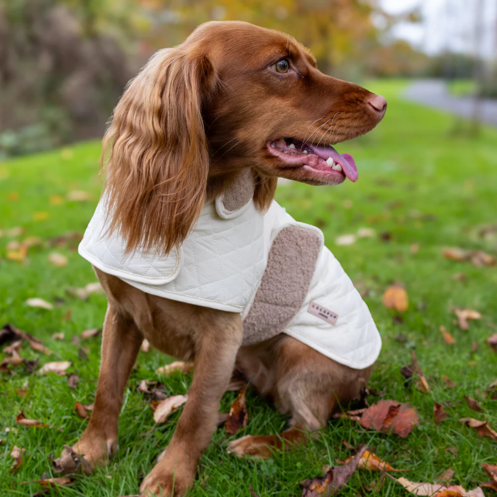 Quilted Dog Coat - Creamy Chai - Image 30