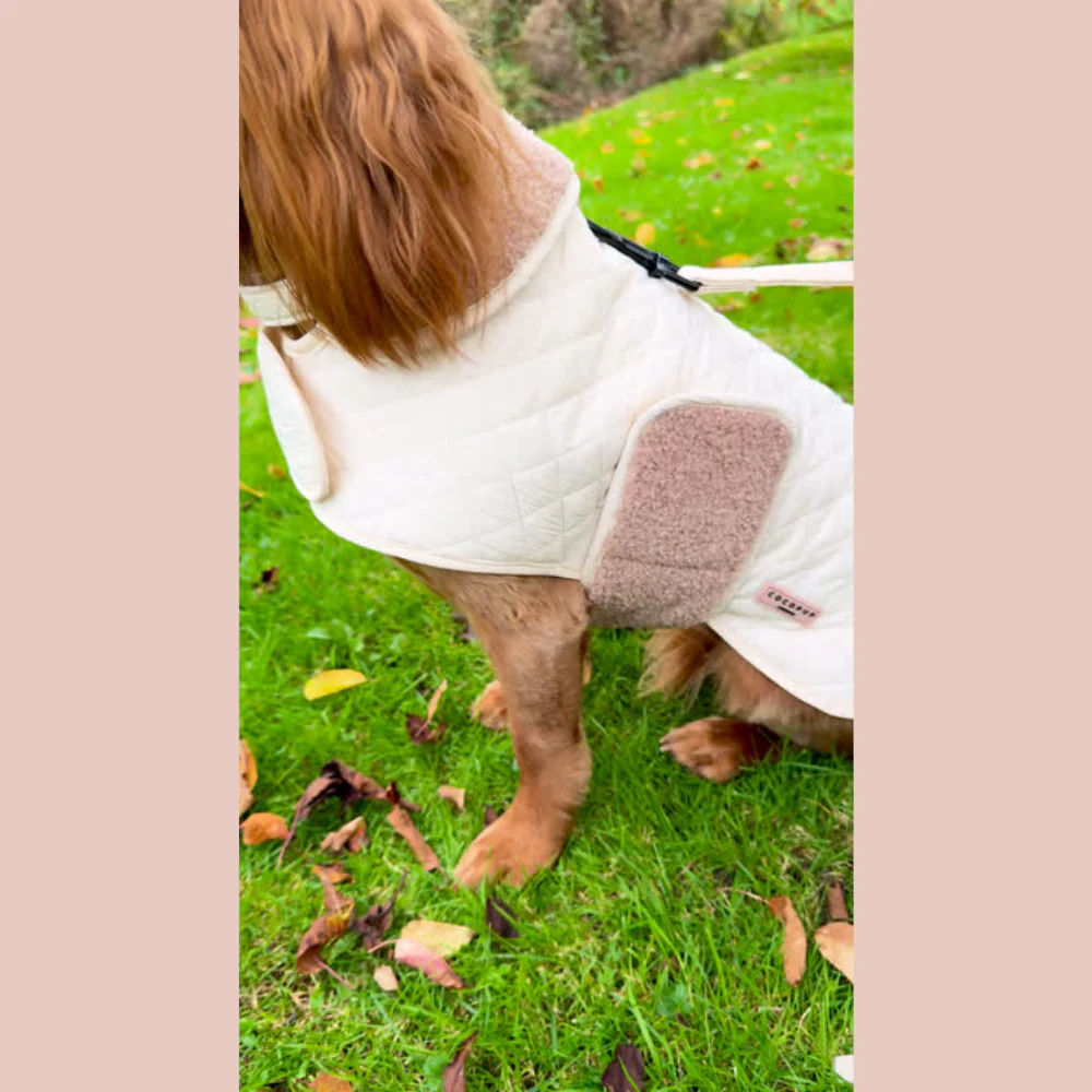 Quilted Dog Coat - Creamy Chai - Image 31