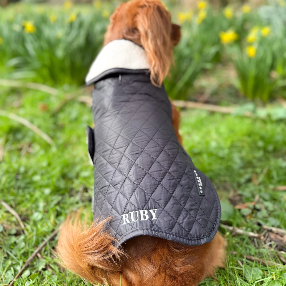 Quilted Dog Coat - Midnight Black - Image 10