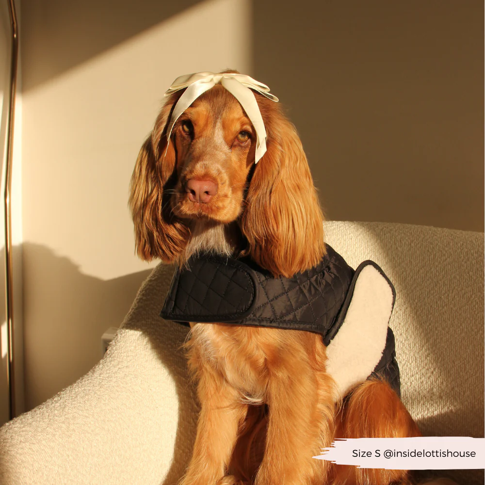 Quilted Dog Coat - Midnight Black - Image 14