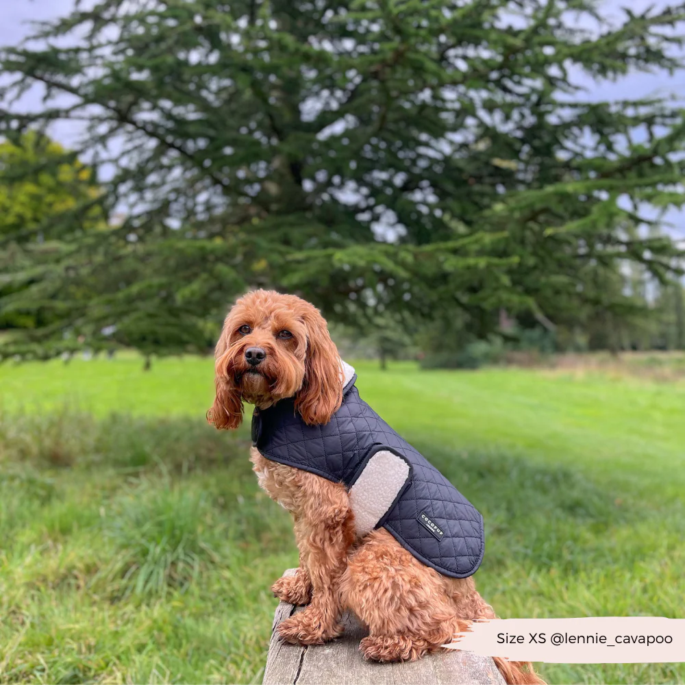 Quilted Dog Coat - Midnight Black - Image 15