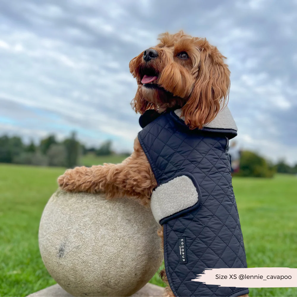 Quilted Dog Coat - Midnight Black - Image 16