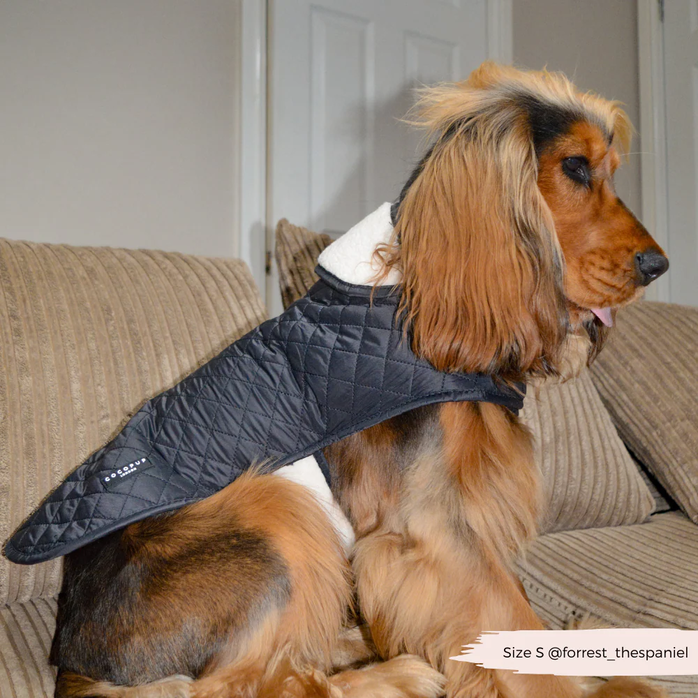 Quilted Dog Coat - Midnight Black - Image 18