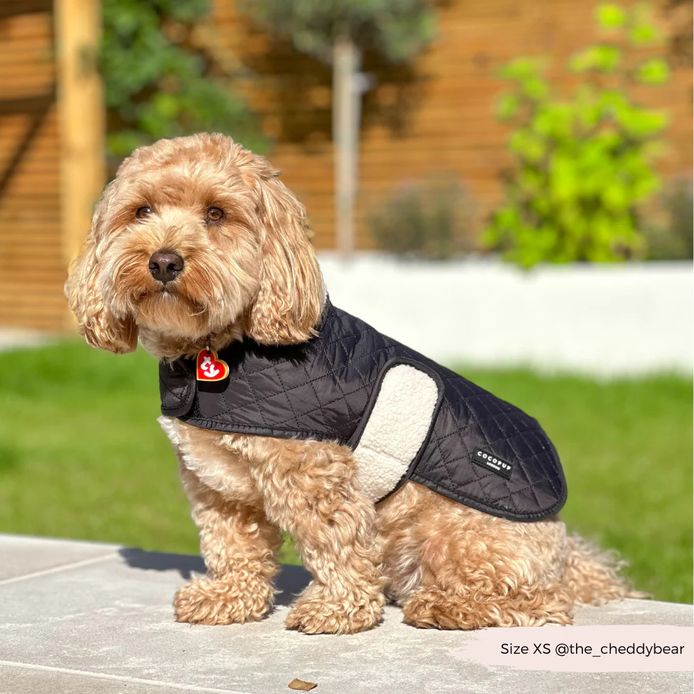 Quilted Dog Coat - Midnight Black - Image 20