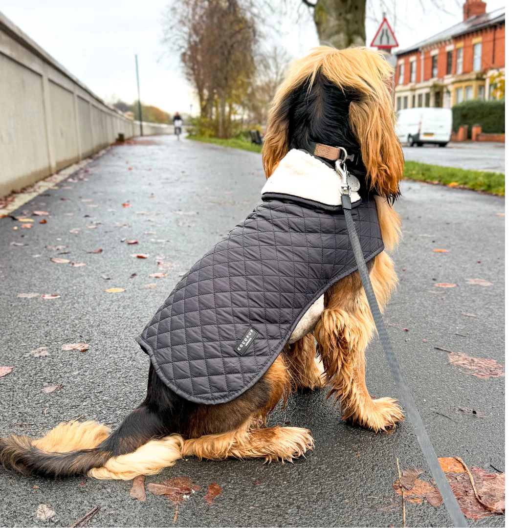 Quilted Dog Coat - Midnight Black - Image 21