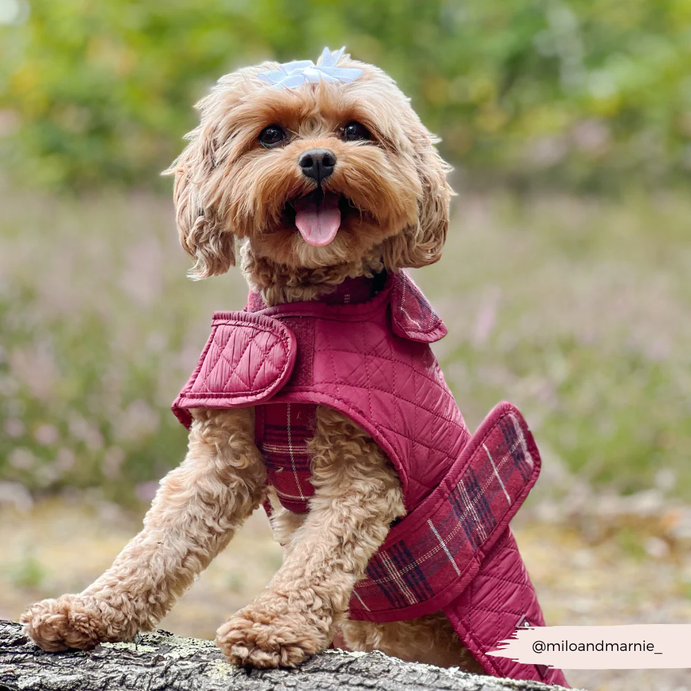 Quilted Dog Coat - Mulberry Plaid - Image 10