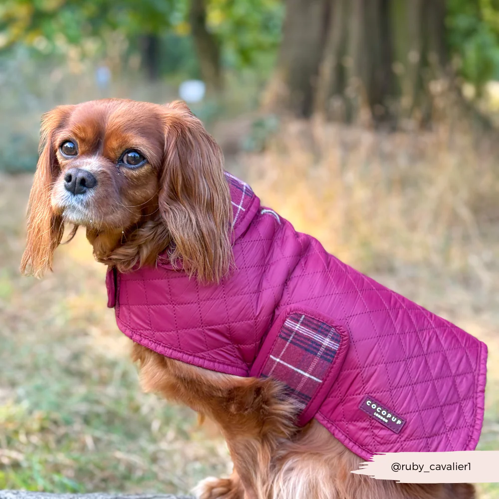 Quilted Dog Coat - Mulberry Plaid - Image 12
