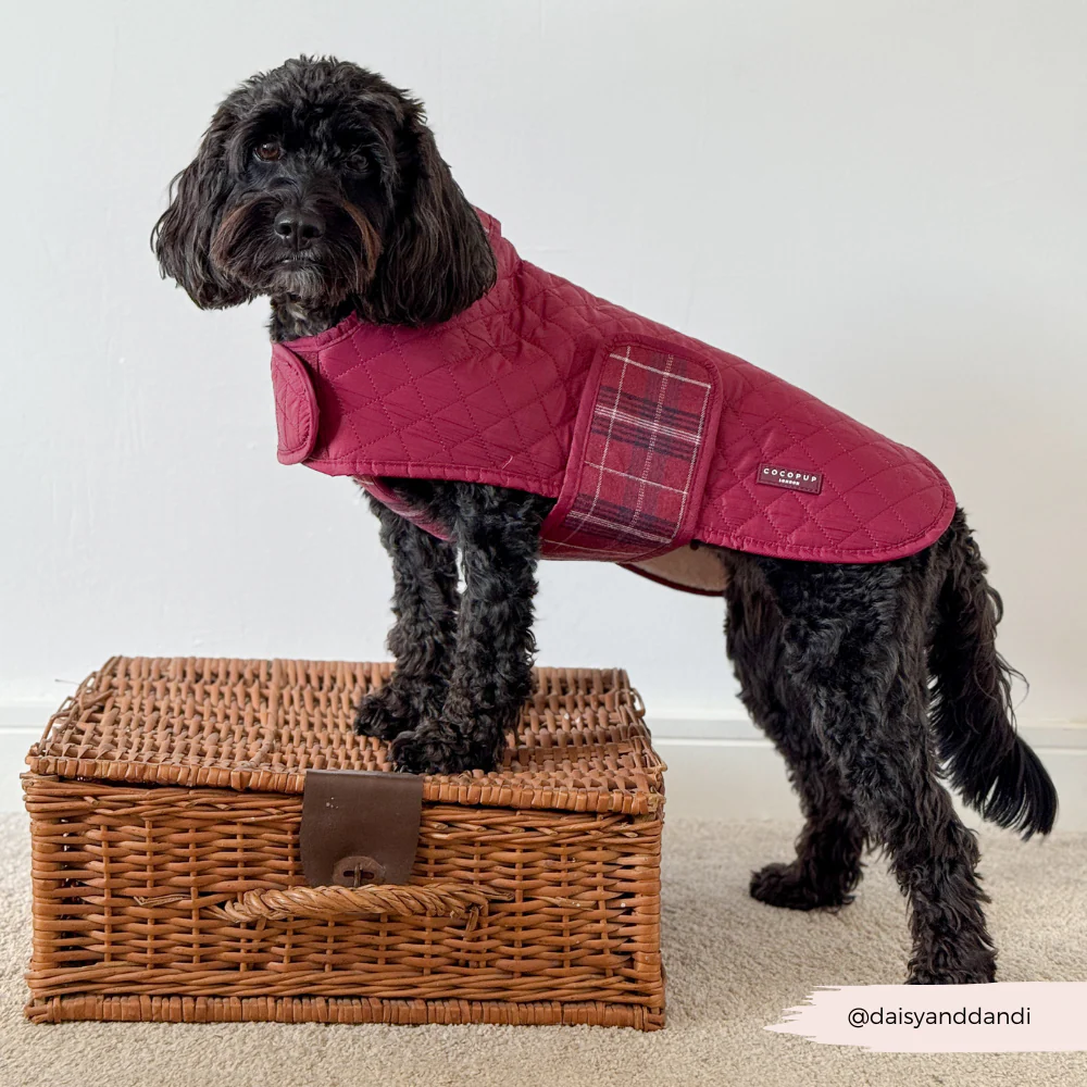 Quilted Dog Coat - Mulberry Plaid - Image 13