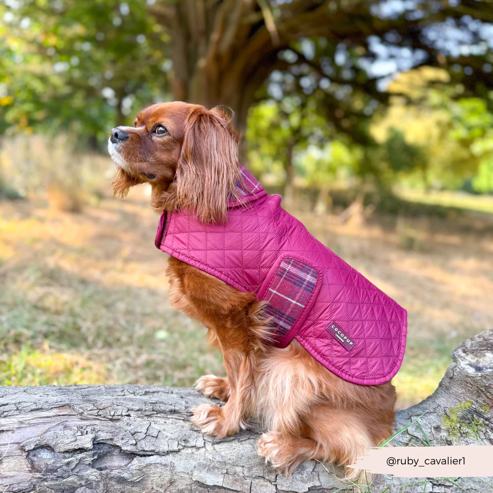 Quilted Dog Coat - Mulberry Plaid - Image 8