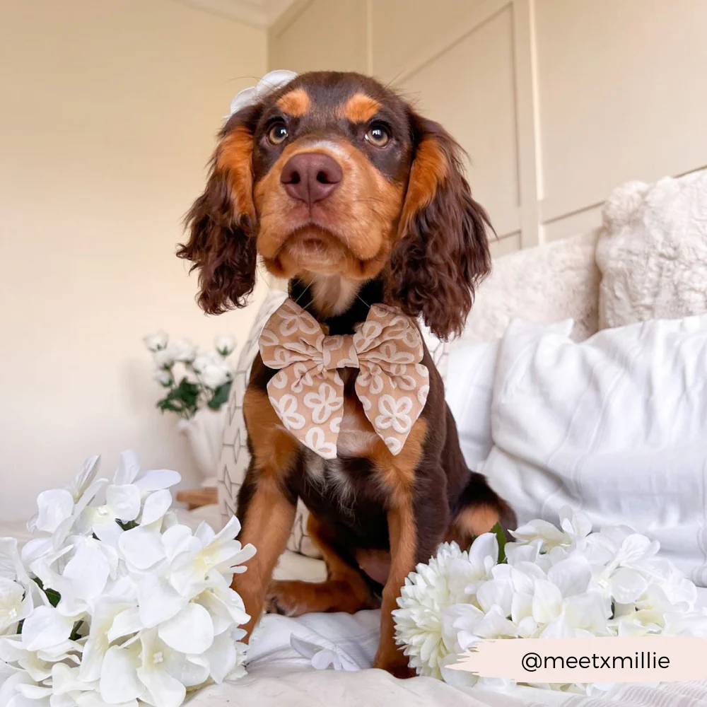 Luxe Sailor Bow Tie - Mocha Flower - Image 6