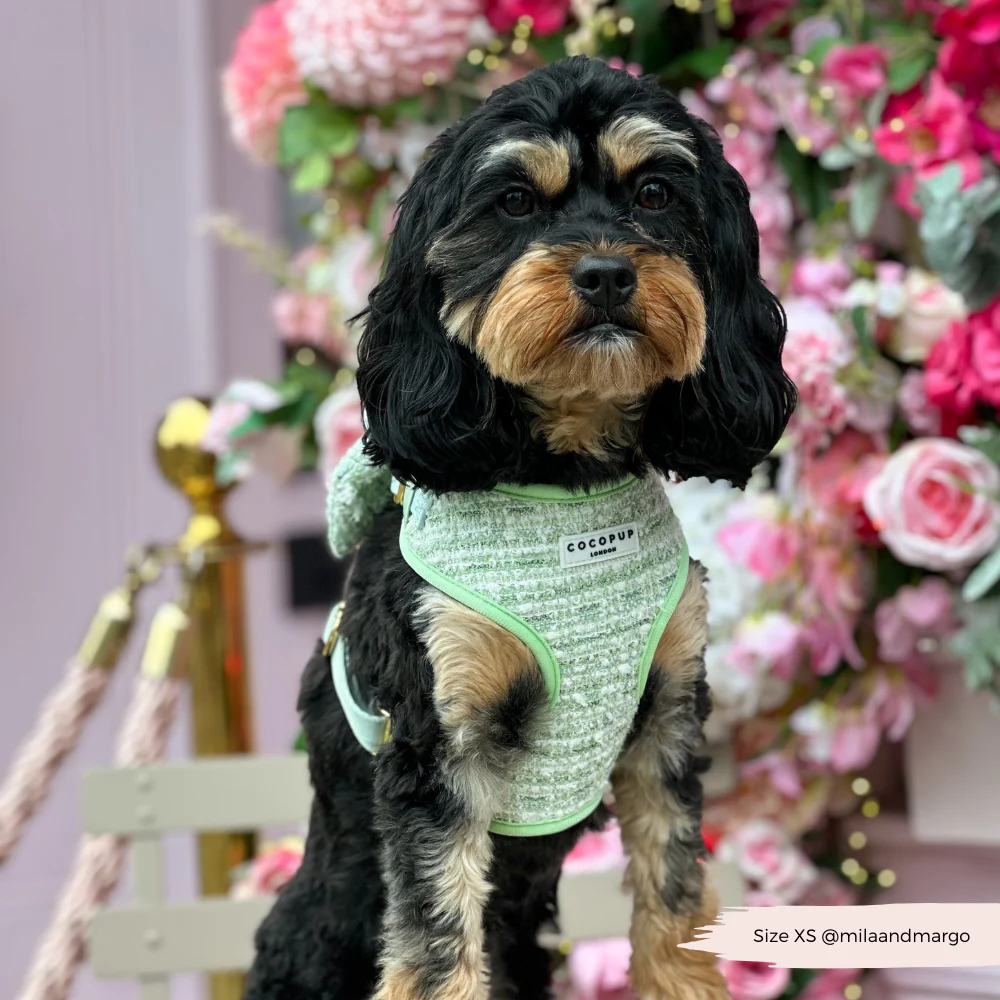 Matcha Textured Tweed Adjustable Neck HARNESS - Image 7