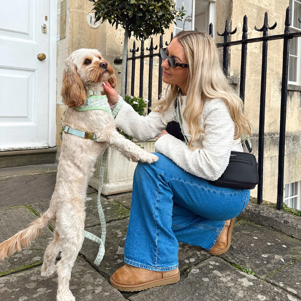 Matcha Textured Tweed Adjustable Neck Harness, Lead & Collar Bundle - Image 33