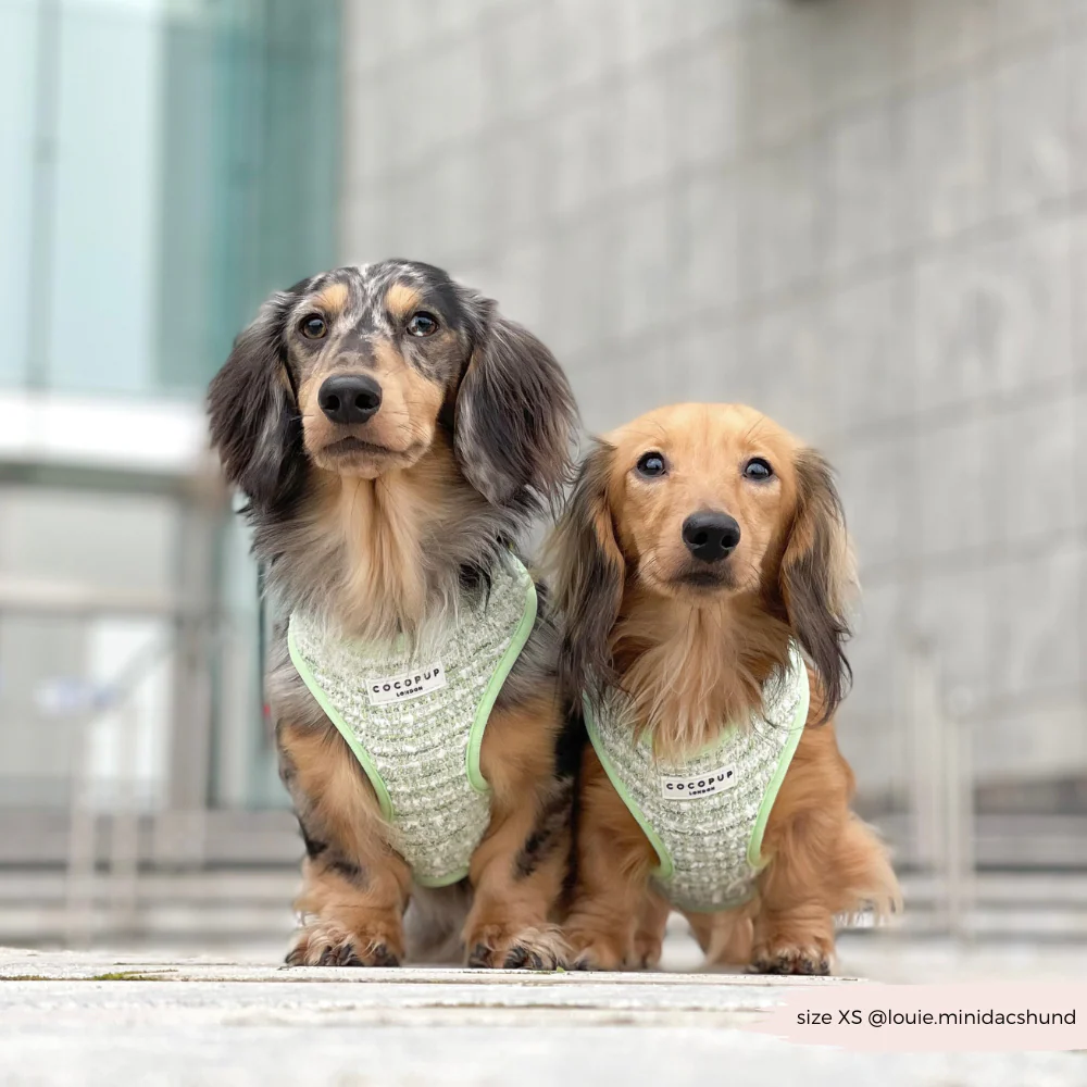 Matcha Textured Tweed Adjustable Neck HARNESS - Image 12