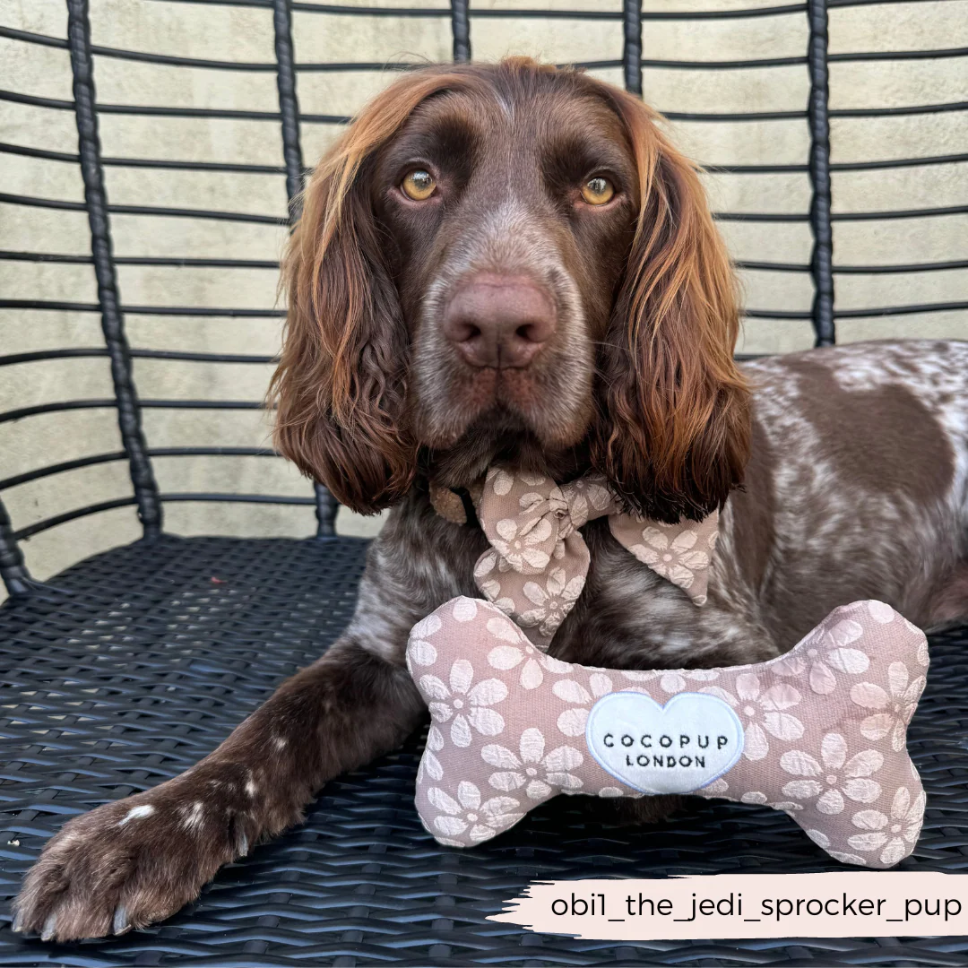 Mocha Flower Bone Toy - Image 11