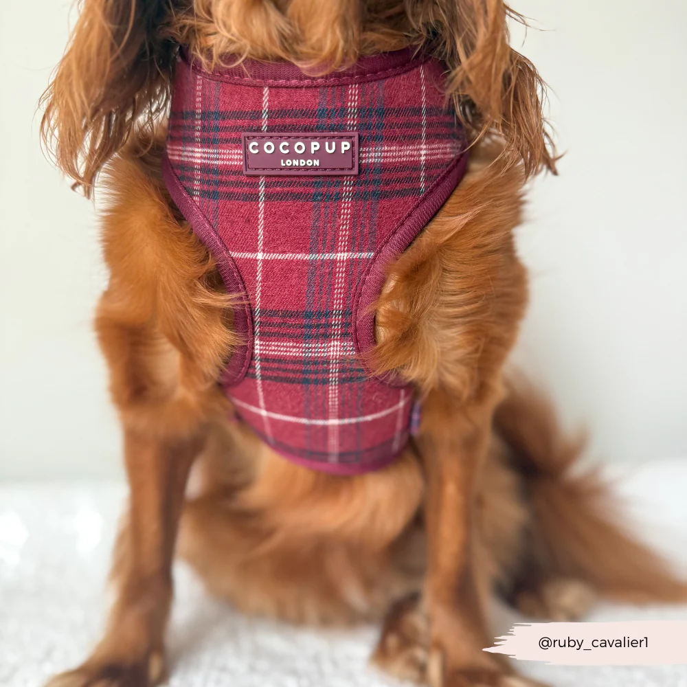Mulberry Plaid Adjustable Neck Harness, Lead & Collar Bundle - Image 10