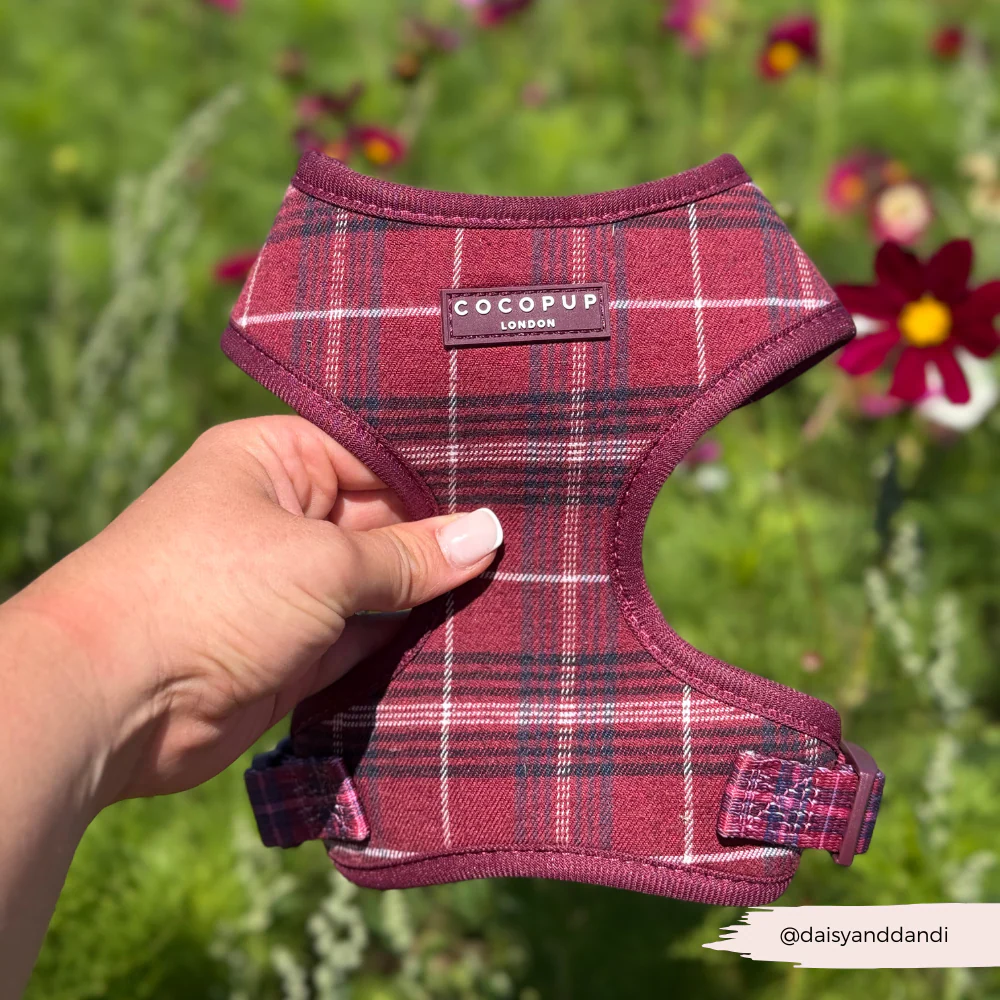 Mulberry Plaid Adjustable Neck Harness, Lead & Collar Bundle - Image 18