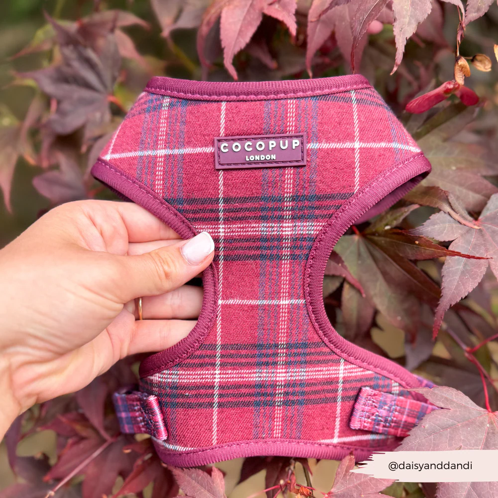 Mulberry Plaid Adjustable Neck Harness, Lead & Collar Bundle - Image 23