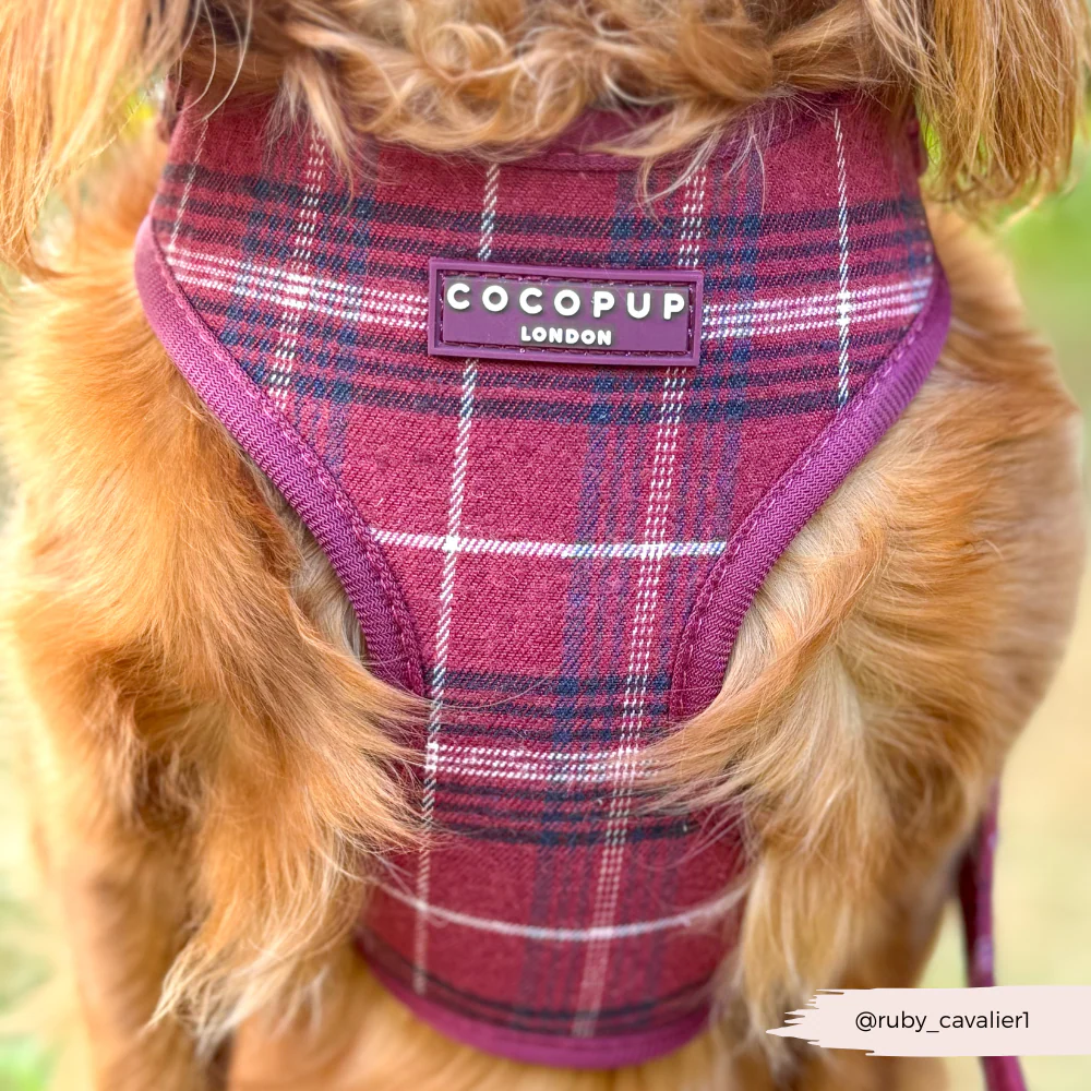 Mulberry Plaid Adjustable Neck Harness, Lead & Collar Bundle - Image 25