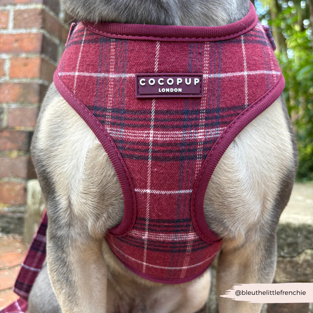 Mulberry Plaid Adjustable Neck Harness, Lead & Collar Bundle - Image 26