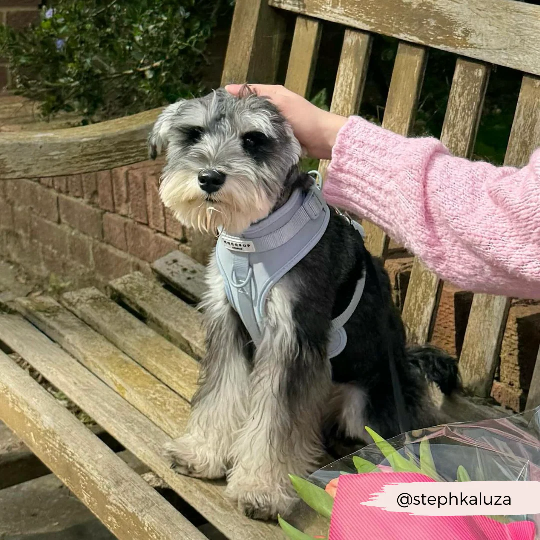 NAKD Adjustable Neck Harness - Bubblegum - Image 16