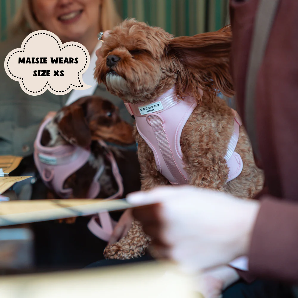 NAKD Adjustable Neck Harness - Candyfloss - Image 13
