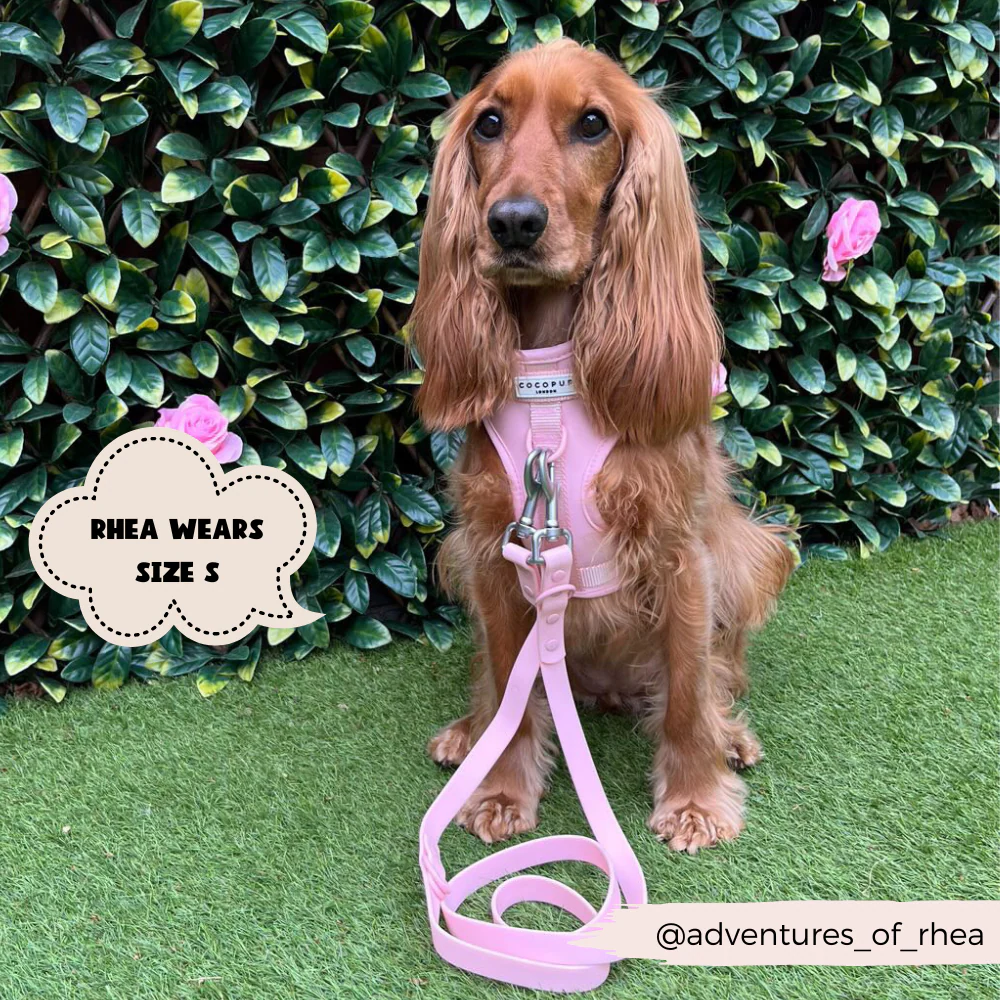 NAKD Adjustable Neck Harness, Lead, Collar & Poop Bag Holder Bundle - Candyfloss - Image 11