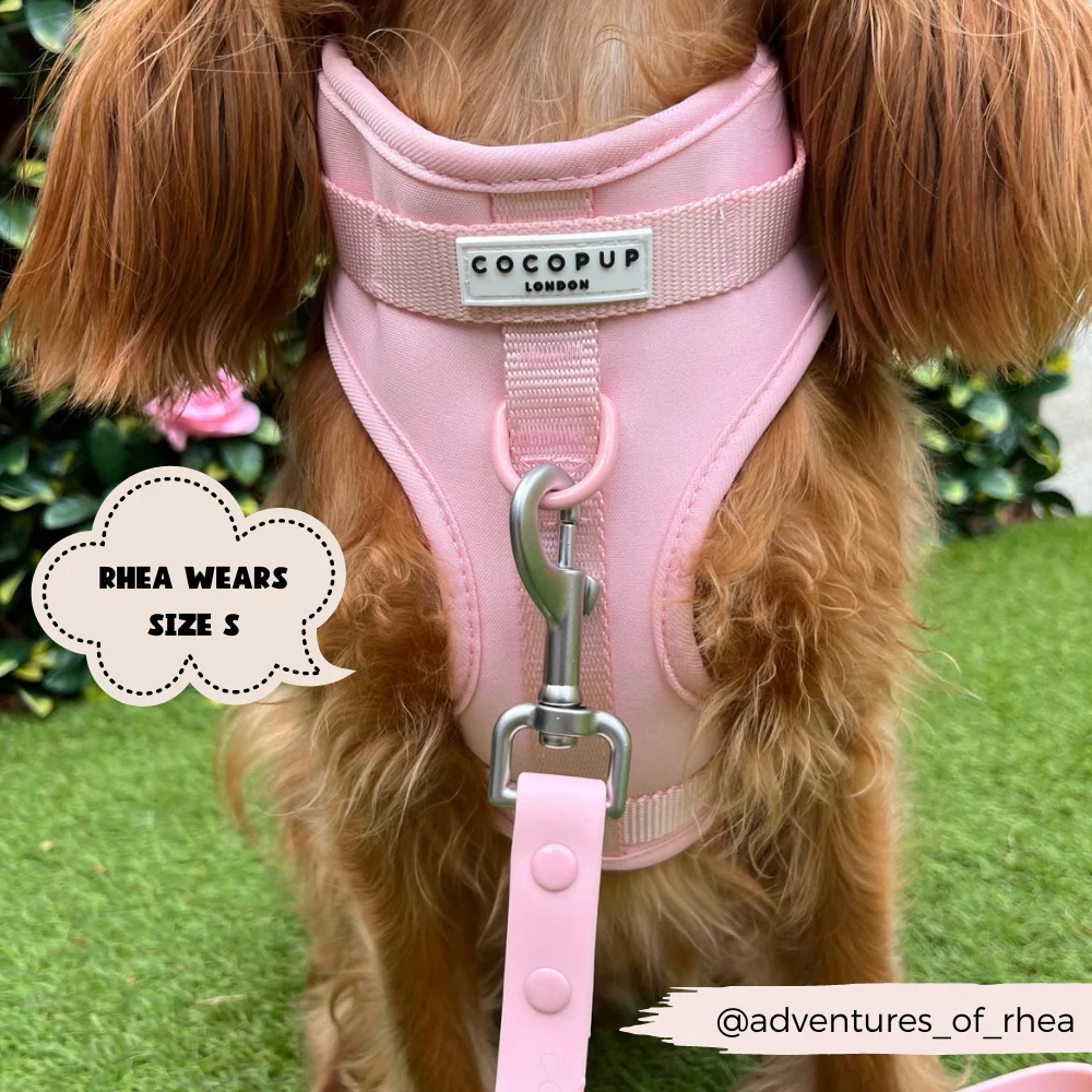 NAKD Adjustable Neck Harness, Lead, Collar & Poop Bag Holder Bundle - Candyfloss - Image 12
