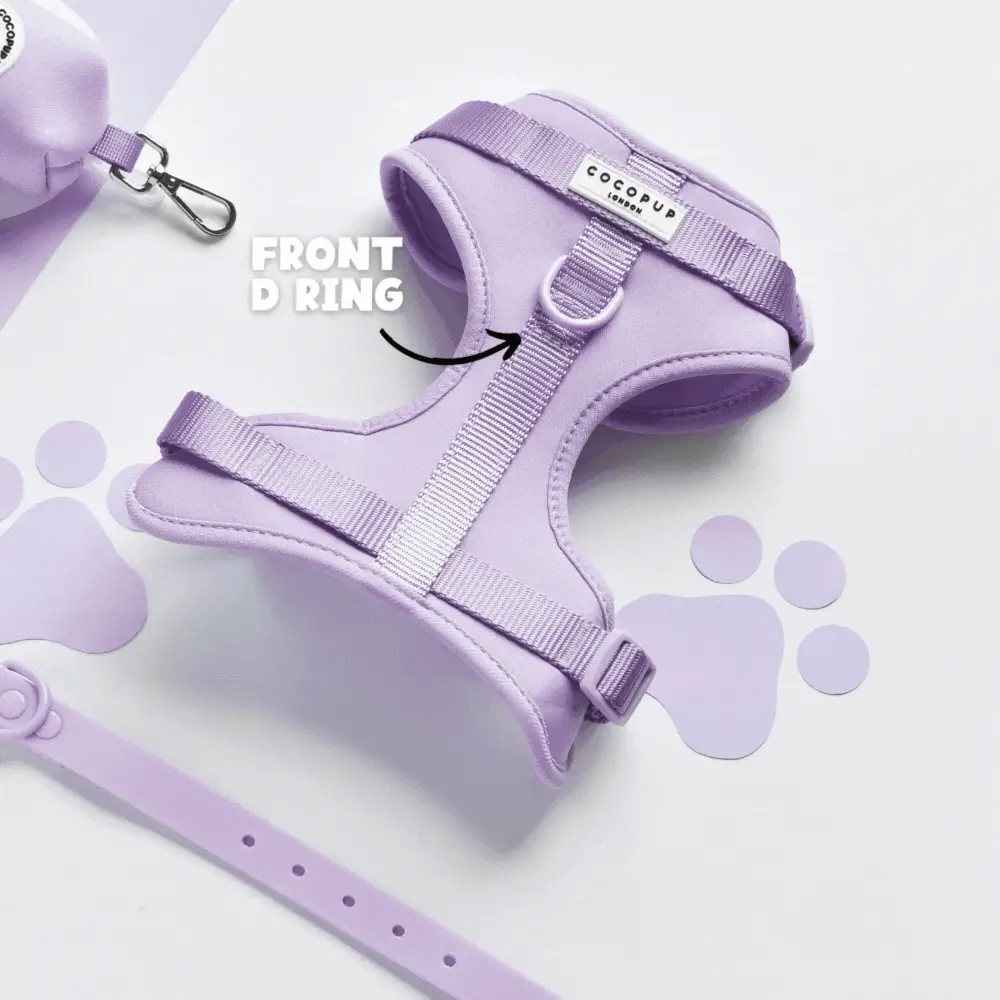 NAKD Adjustable Neck Harness, Lead, Collar & Poop Bag Holder Bundle - Candyfloss - Image 8