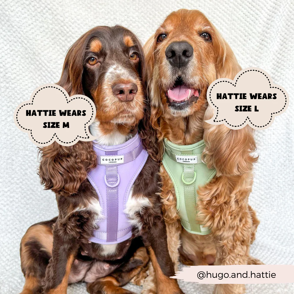 NAKD Adjustable Neck Harness, Lead, Collar & Poop Bag Holder Bundle - Matcha - Image 13