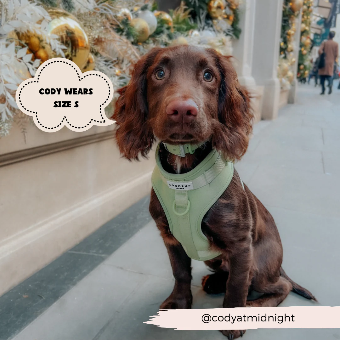 NAKD Adjustable Neck Harness - Matcha - Image 16