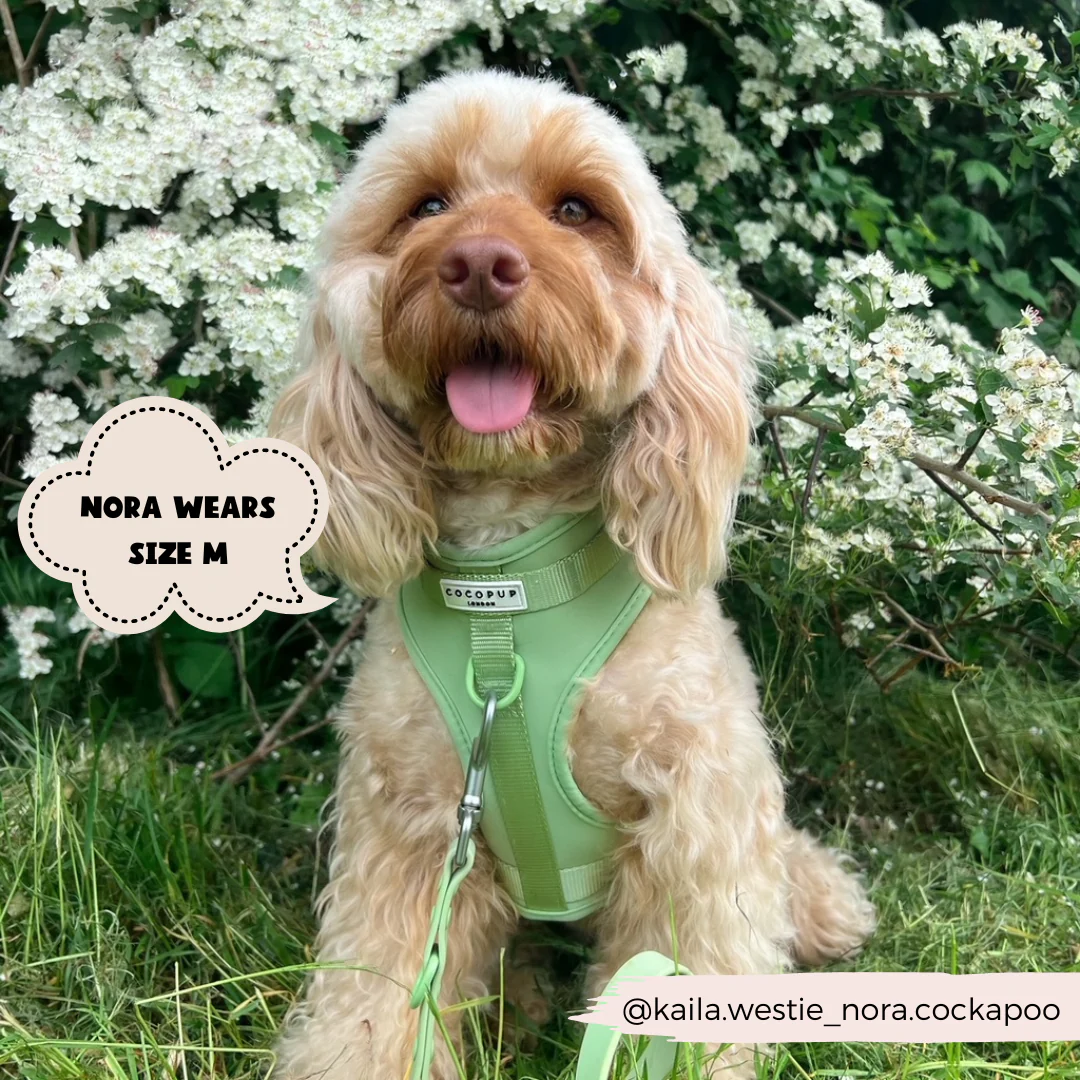 NAKD Adjustable Neck Harness - Matcha - Image 8