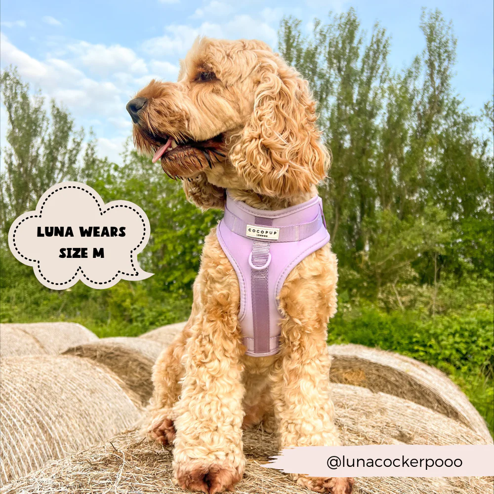NAKD Adjustable Neck Harness - Parma Violets - Image 6