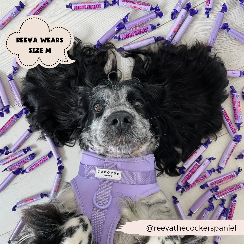 NAKD Adjustable Neck Harness - Parma Violets - Image 8