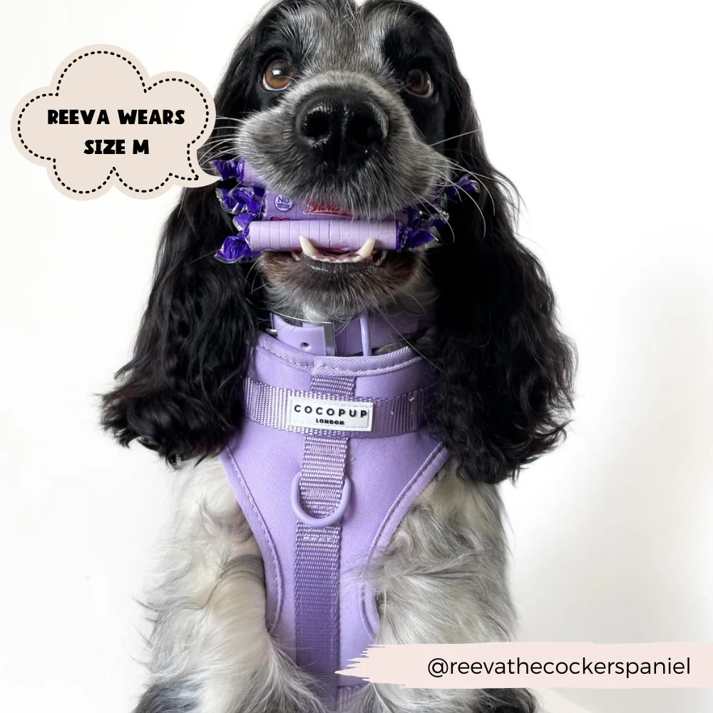 NAKD Adjustable Neck Harness - Parma Violets - Image 9