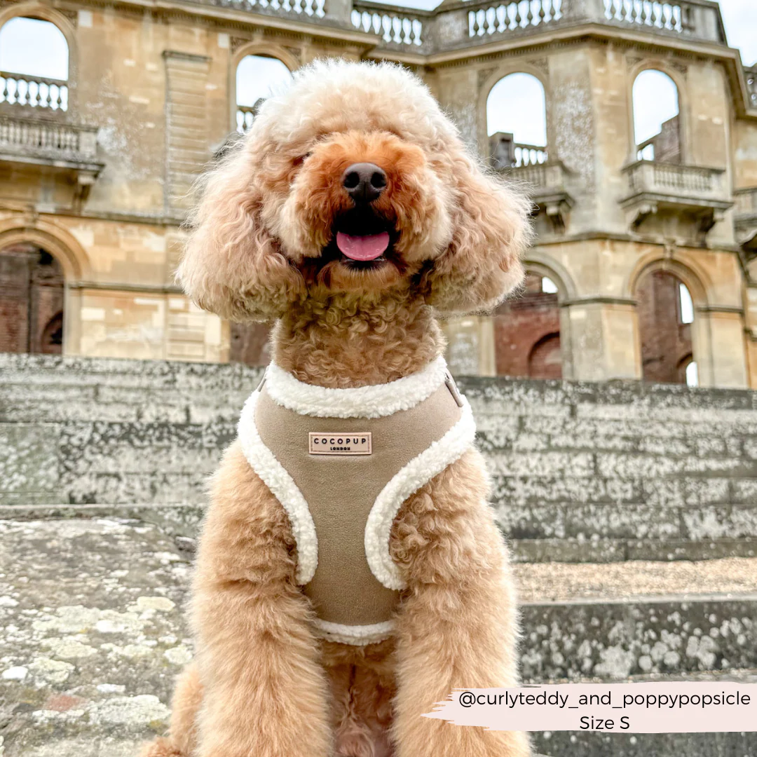 Nude Aviator Adjustable Neck HARNESS - Image 13