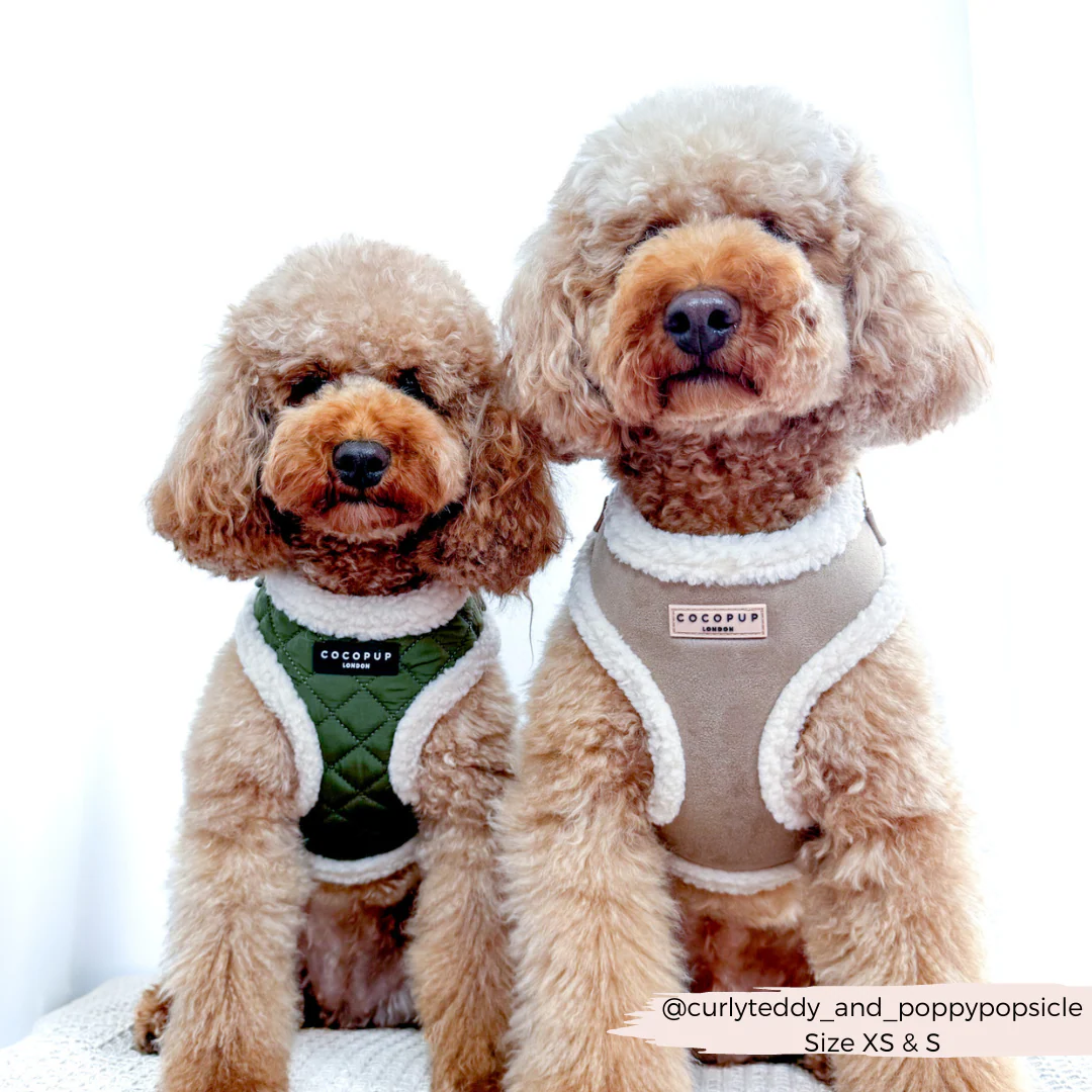 Nude Aviator Adjustable Neck Harness, Lead & Collar Bundle - Image 10
