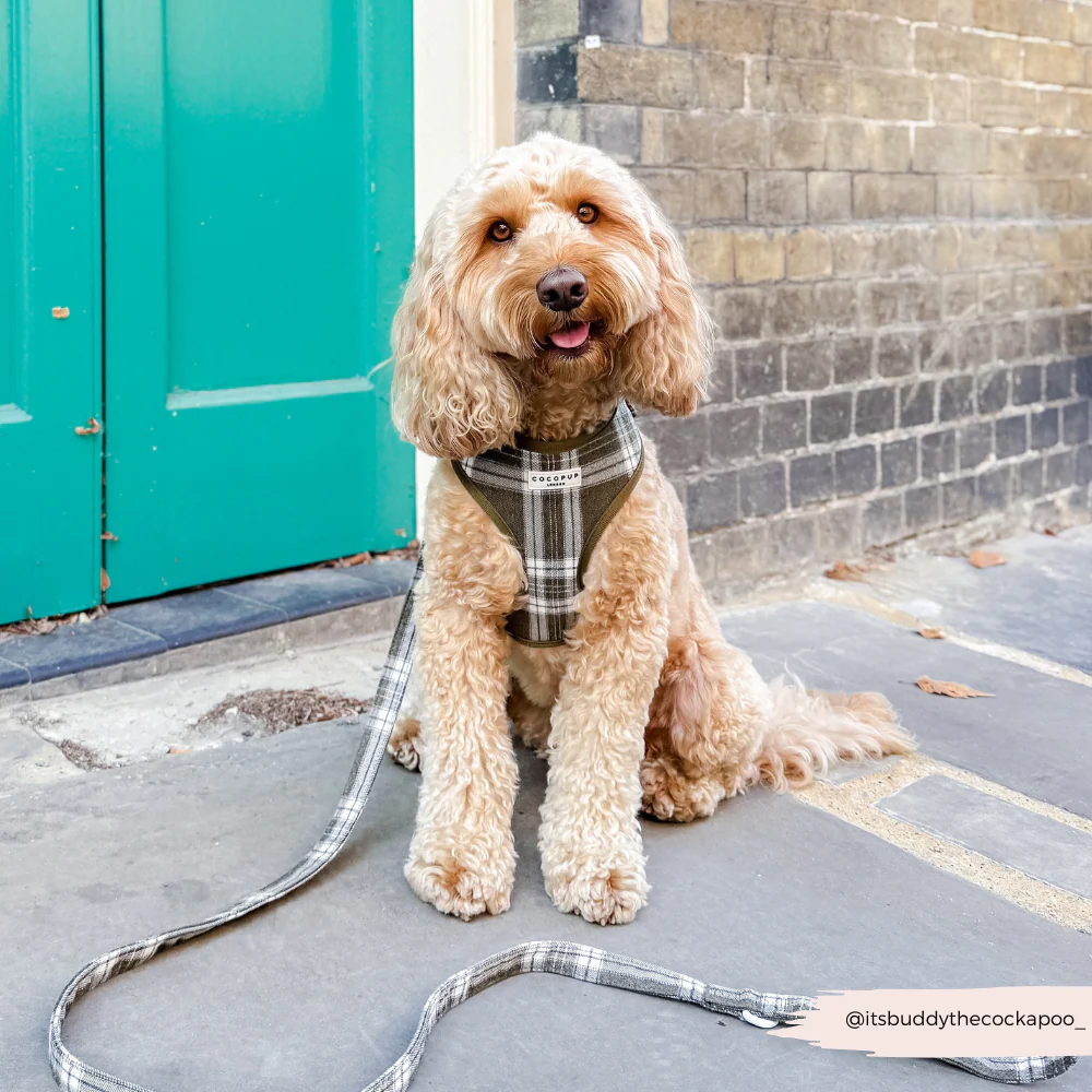 Olive Check Adjustable Neck HARNESS - Image 14
