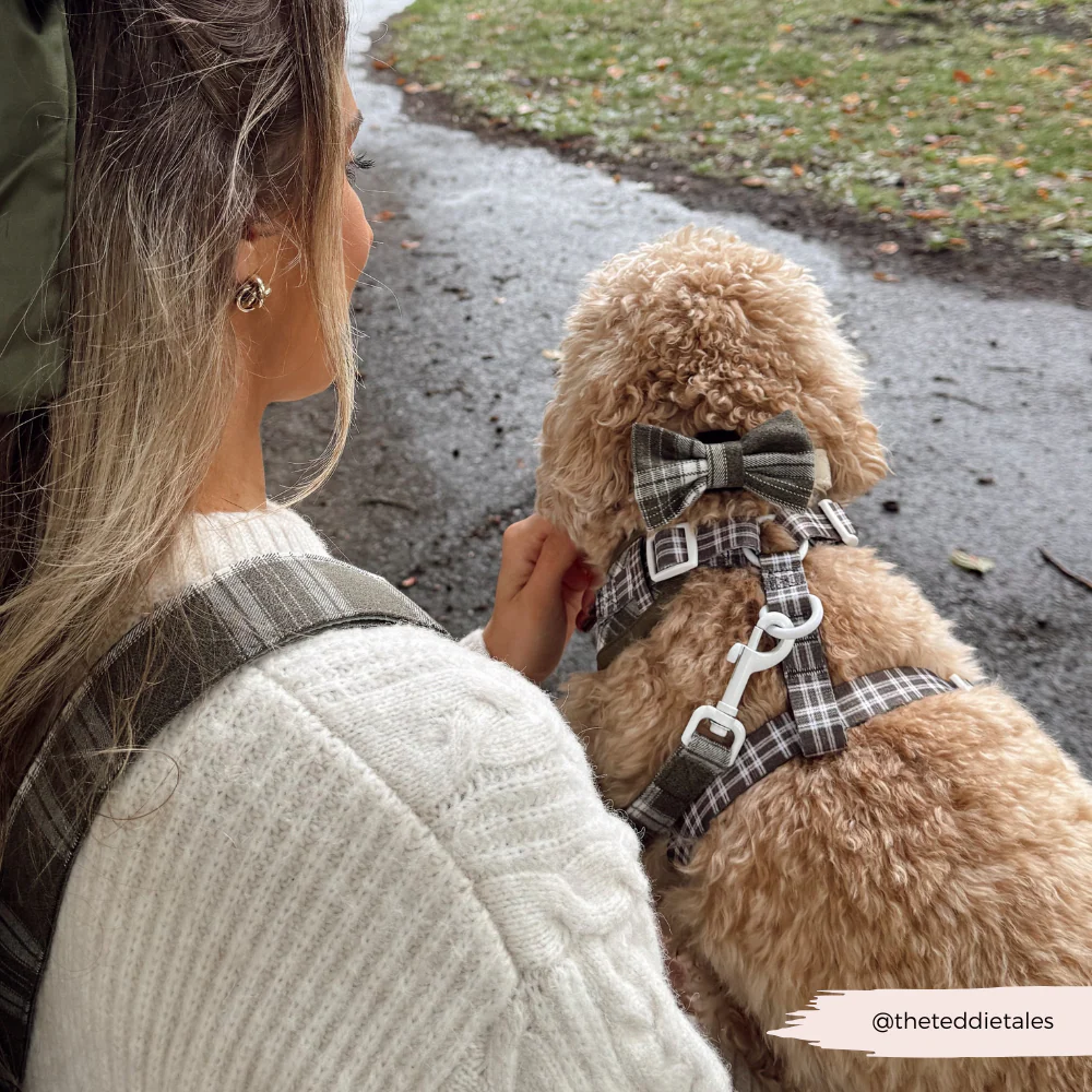 Bag Strap - Olive Check - Image 7