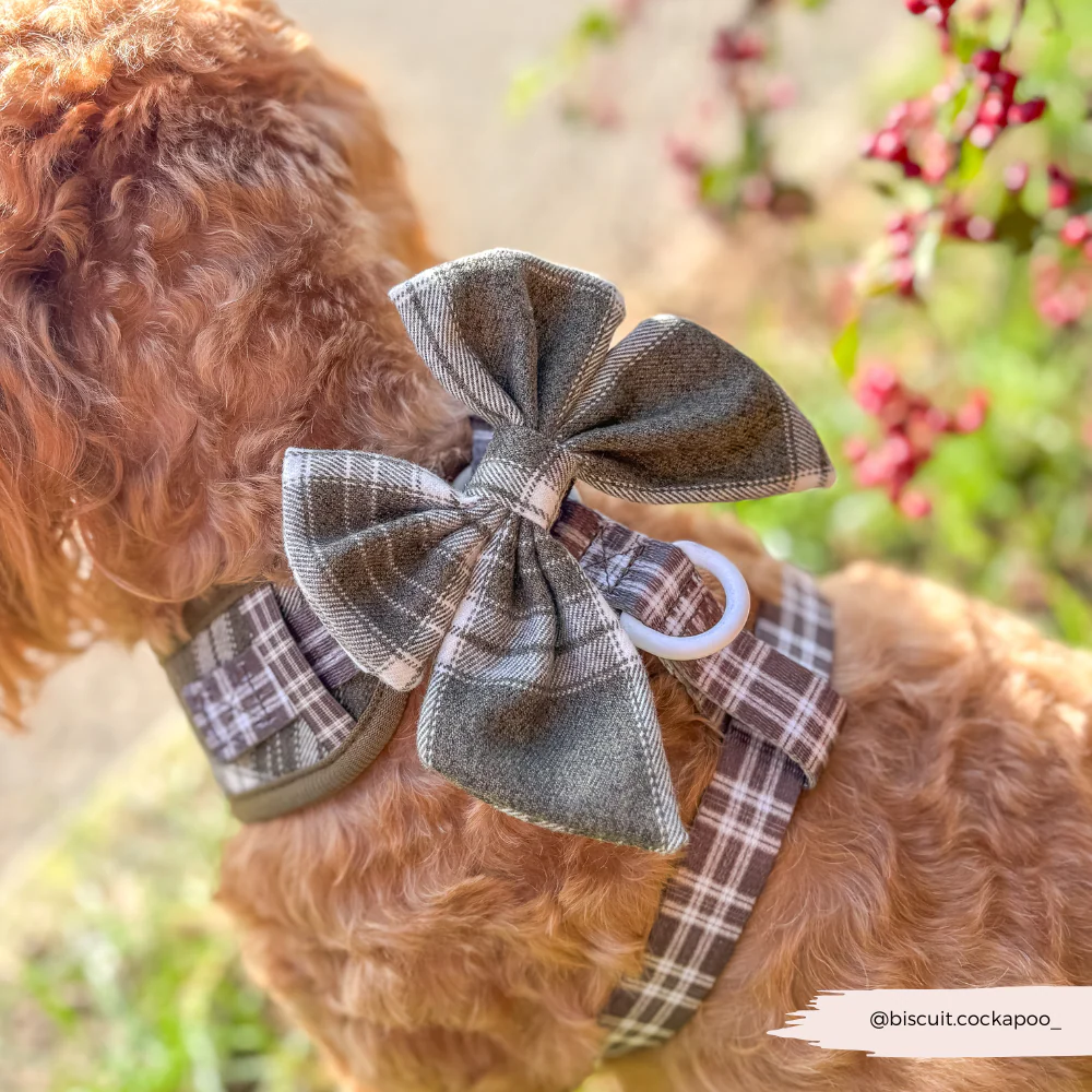 Olive Check Sailor Bow Tie - Image 3