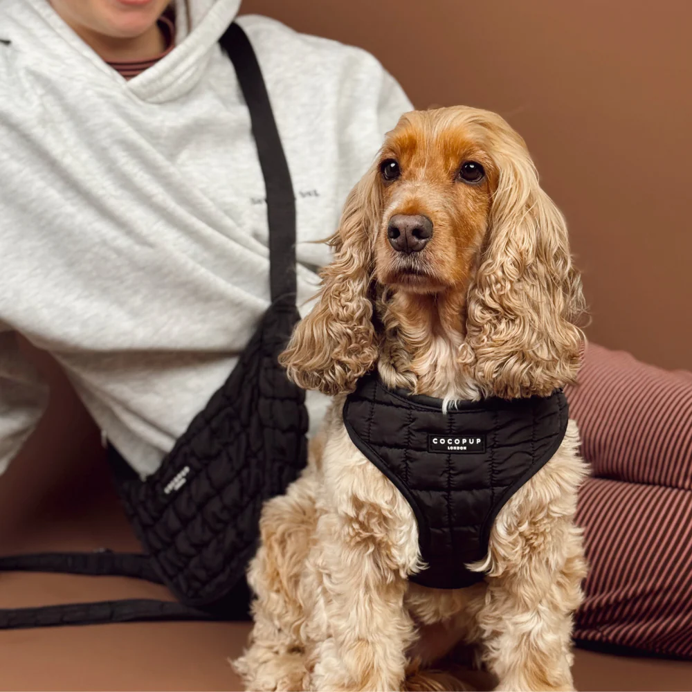 Onyx Quilted Adjustable Neck HARNESS - Image 9
